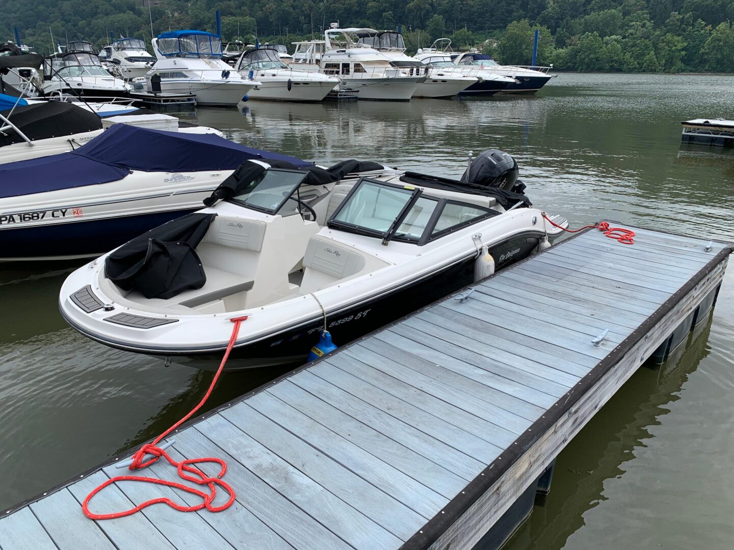 2020 Sea Ray SPX 190 Outboard