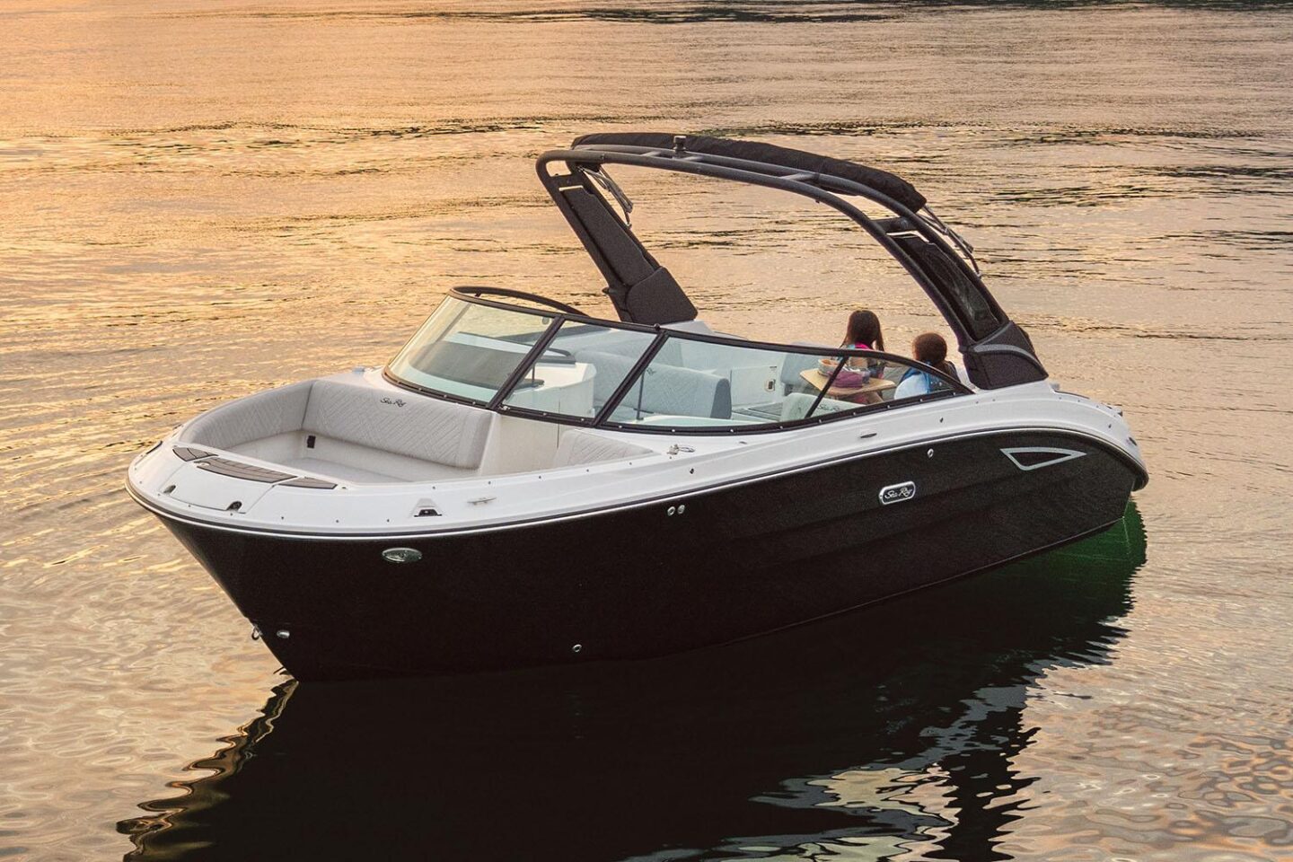 2025 Sea Ray SDX 250